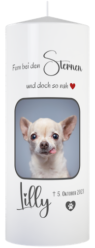 personalisierte Trauer Kerze für Tiere (Hund) mit Foto, Namen und Sterbedatum
